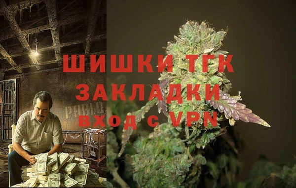 гашик Аркадак