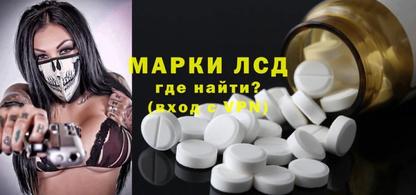 гашик Аркадак