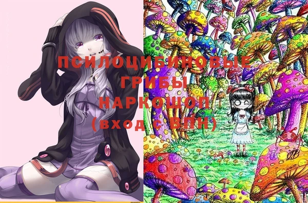стаф Баксан