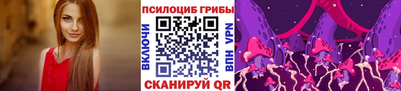 Псилоцибиновые грибы Psilocybine cubensis  Зея 