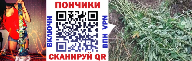 Каннабис планчик  что такое наркотик  hydra ССЫЛКА  Зея 